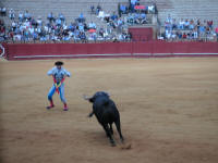 corrida17.jpg