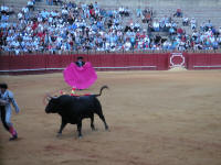 corrida19.jpg