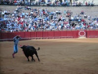 corrida21.jpg