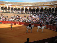 corrida23.jpg