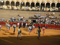 corrida24.jpg