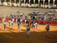 corrida25.jpg