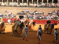 corrida27.jpg